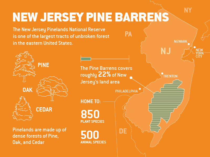 map of new jersey pine barrens        <h3 class=
