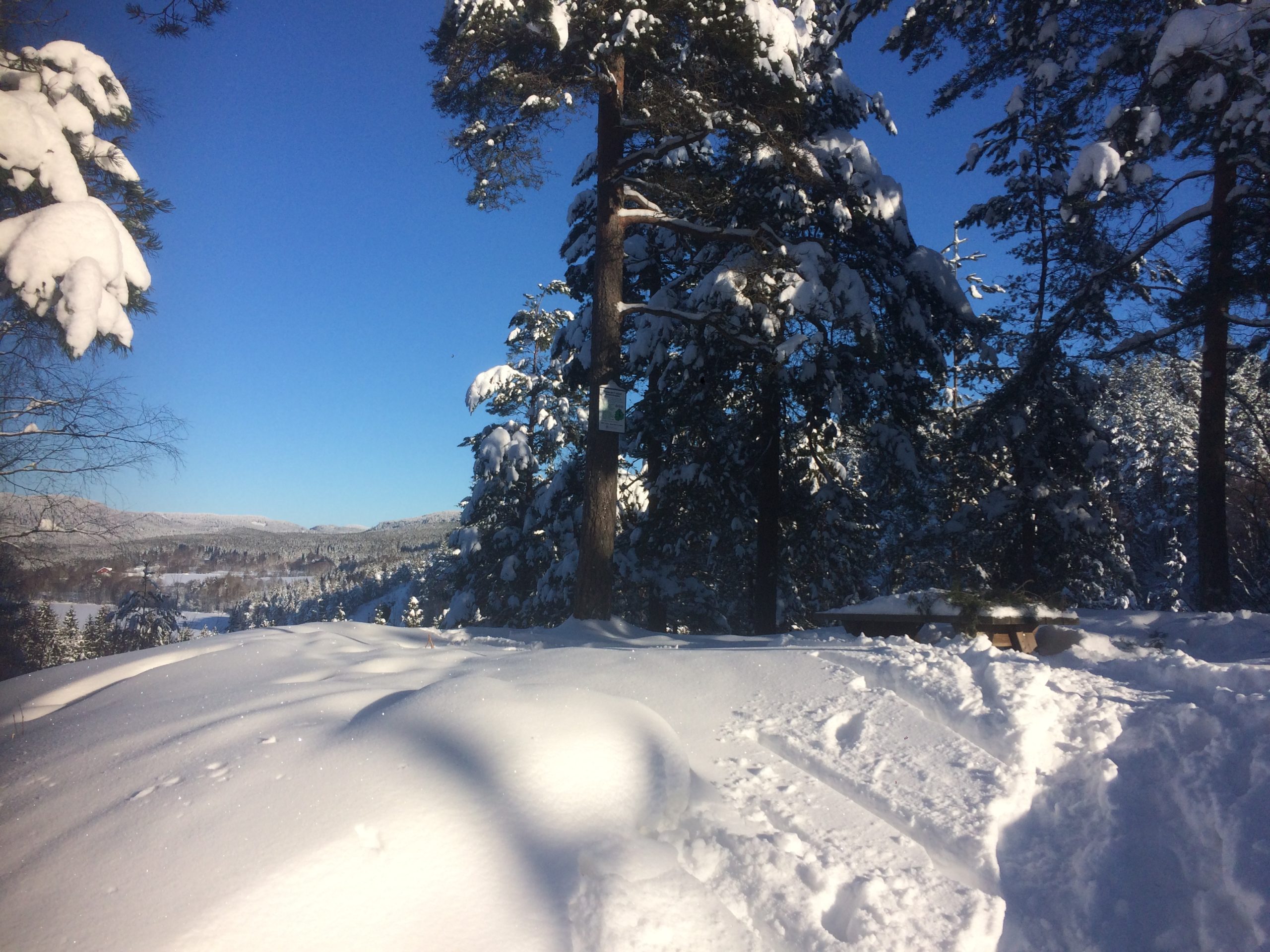 picnic table view of ski trails Norway