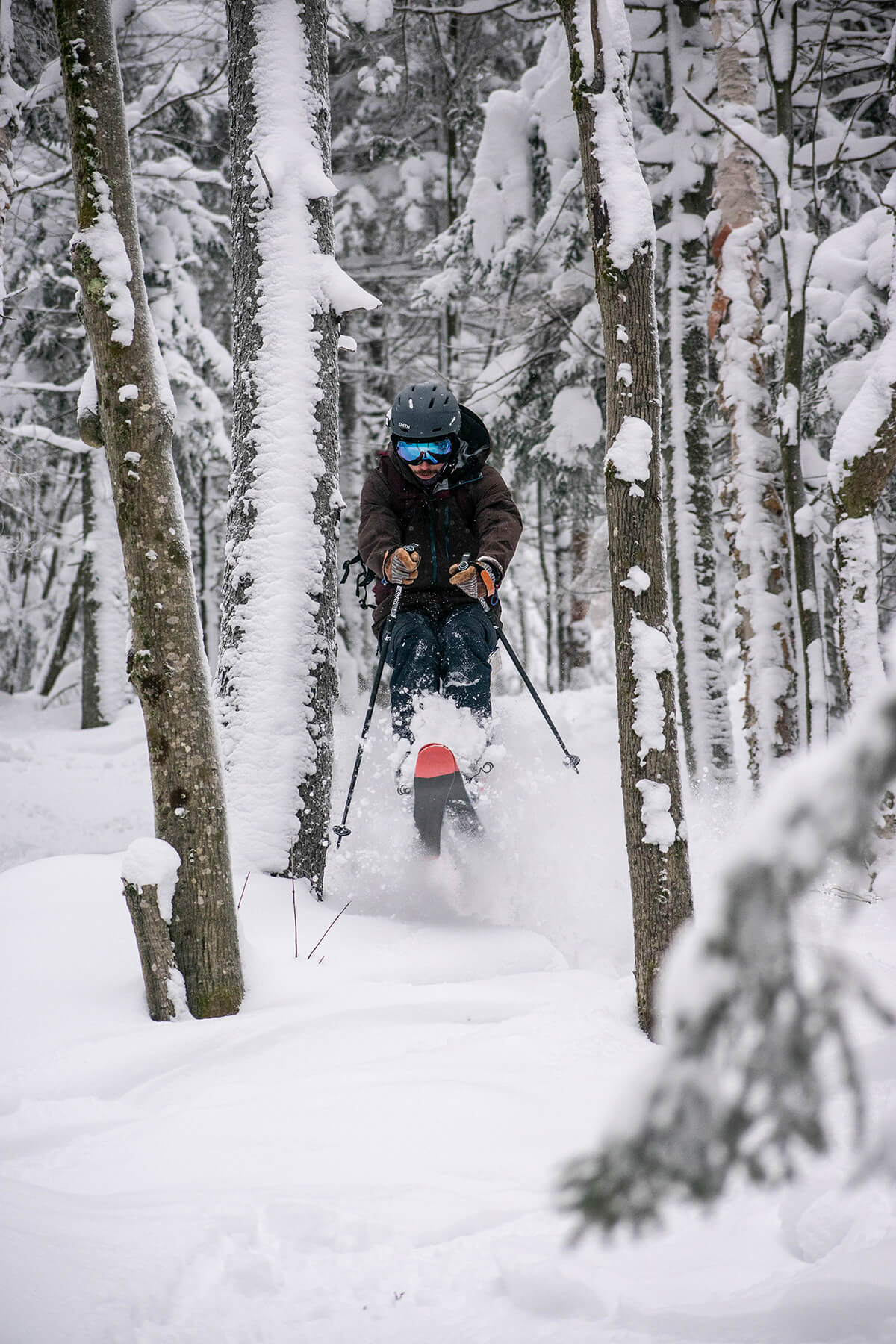 backcountry skier in Brandon Gap, Goshen, Vermont