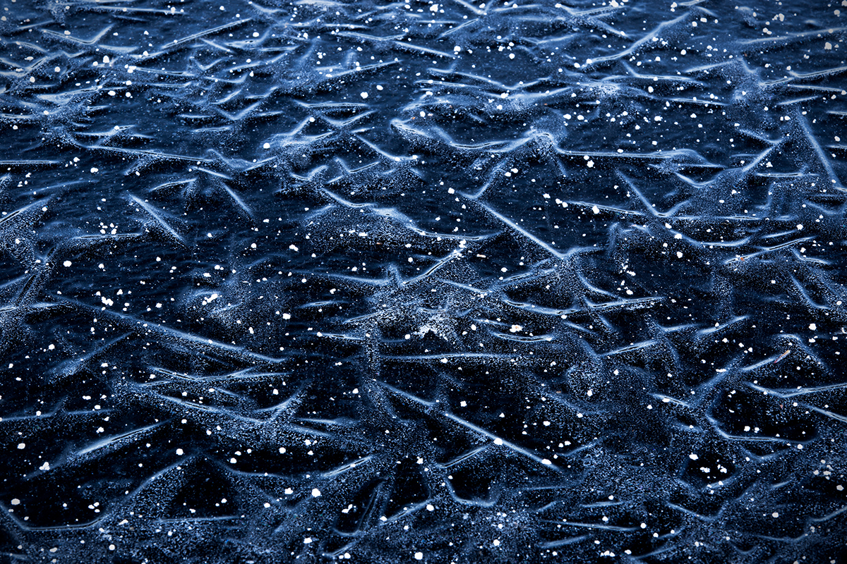 stars form under the ice at a Cranberry Bog, Carlisle, Massachusetts