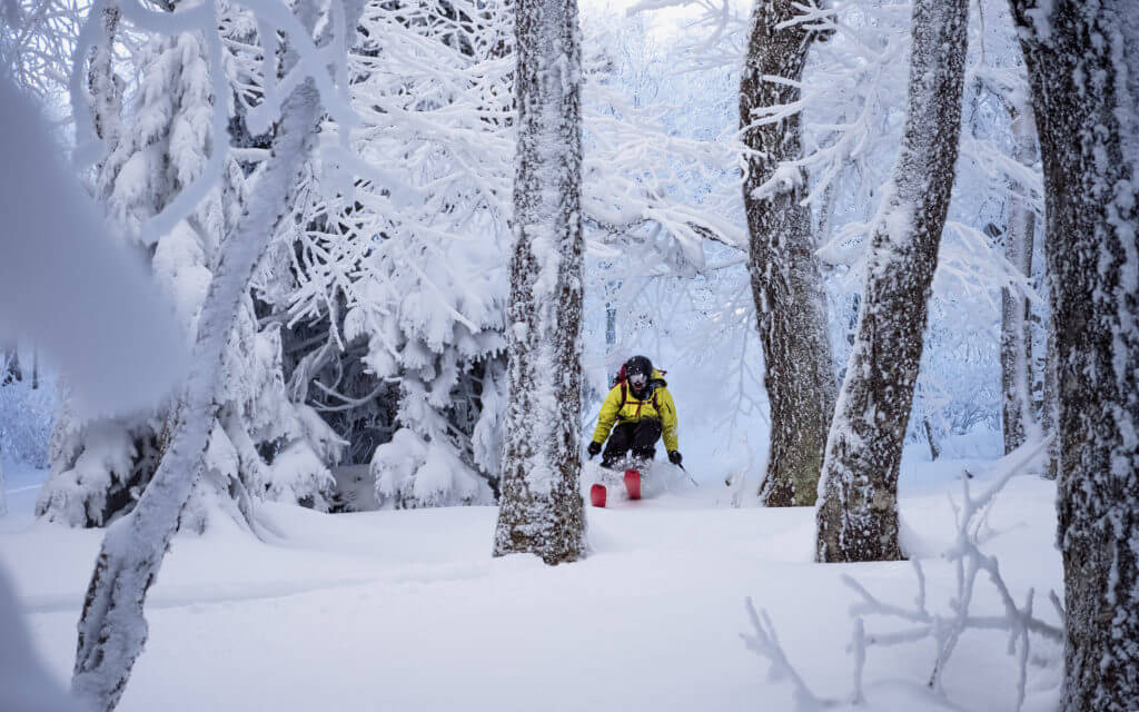 Pc2020 Nick Tartaglione Skiing Through Narnia.jpeg 1 1024x640