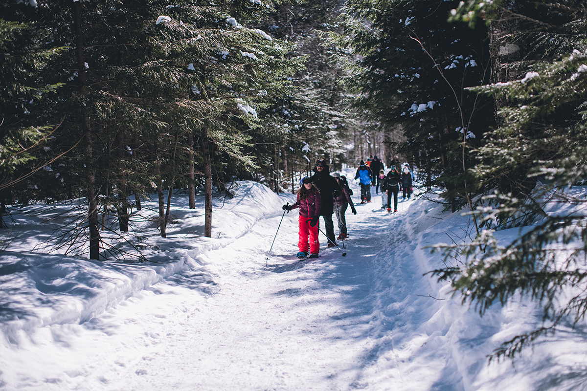 a group snowshoeing on a trail in the White Mountains 